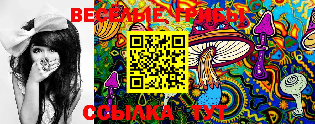 Можга  Псилоцибиновые грибы Cubensis  Вход с VPN 